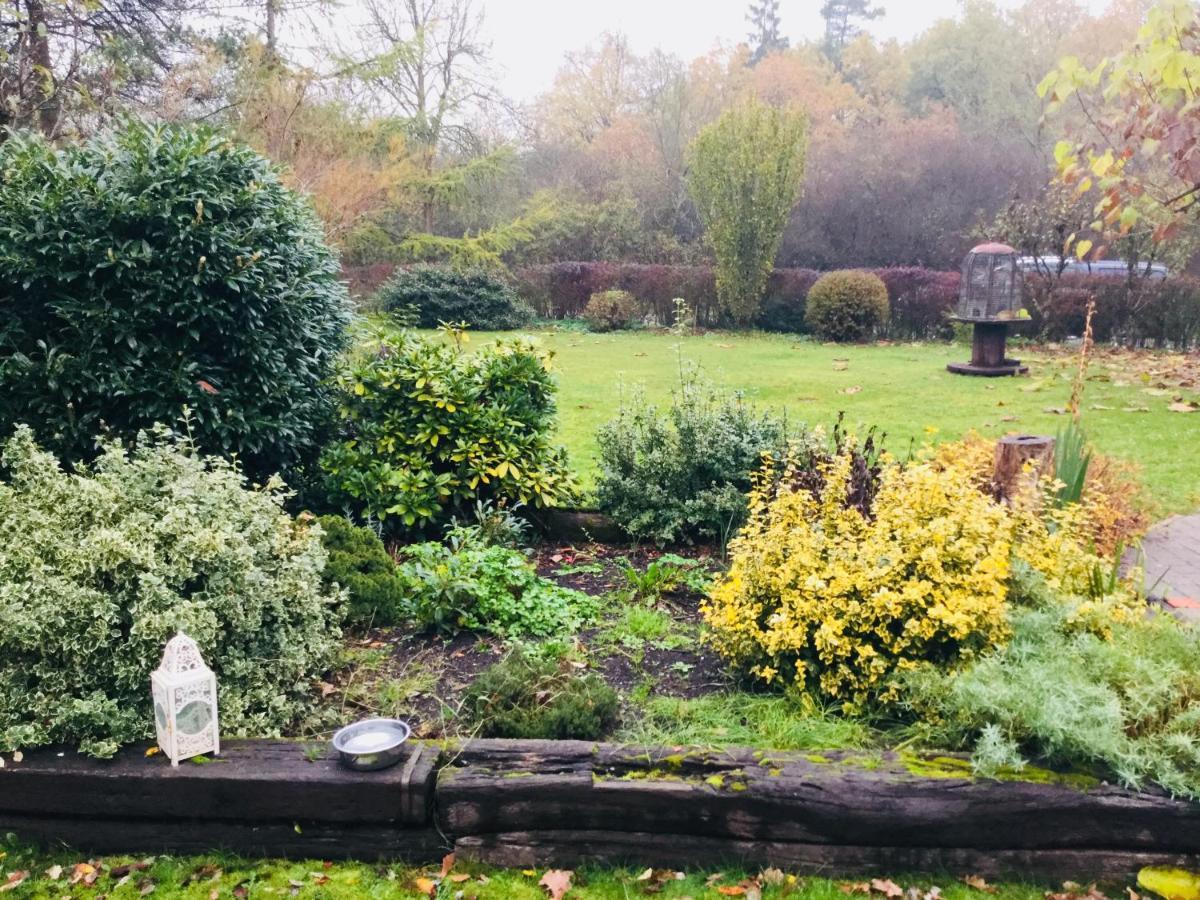 Le Jardin Des Biches Bed & Breakfast Somme-Leuze ภายนอก รูปภาพ
