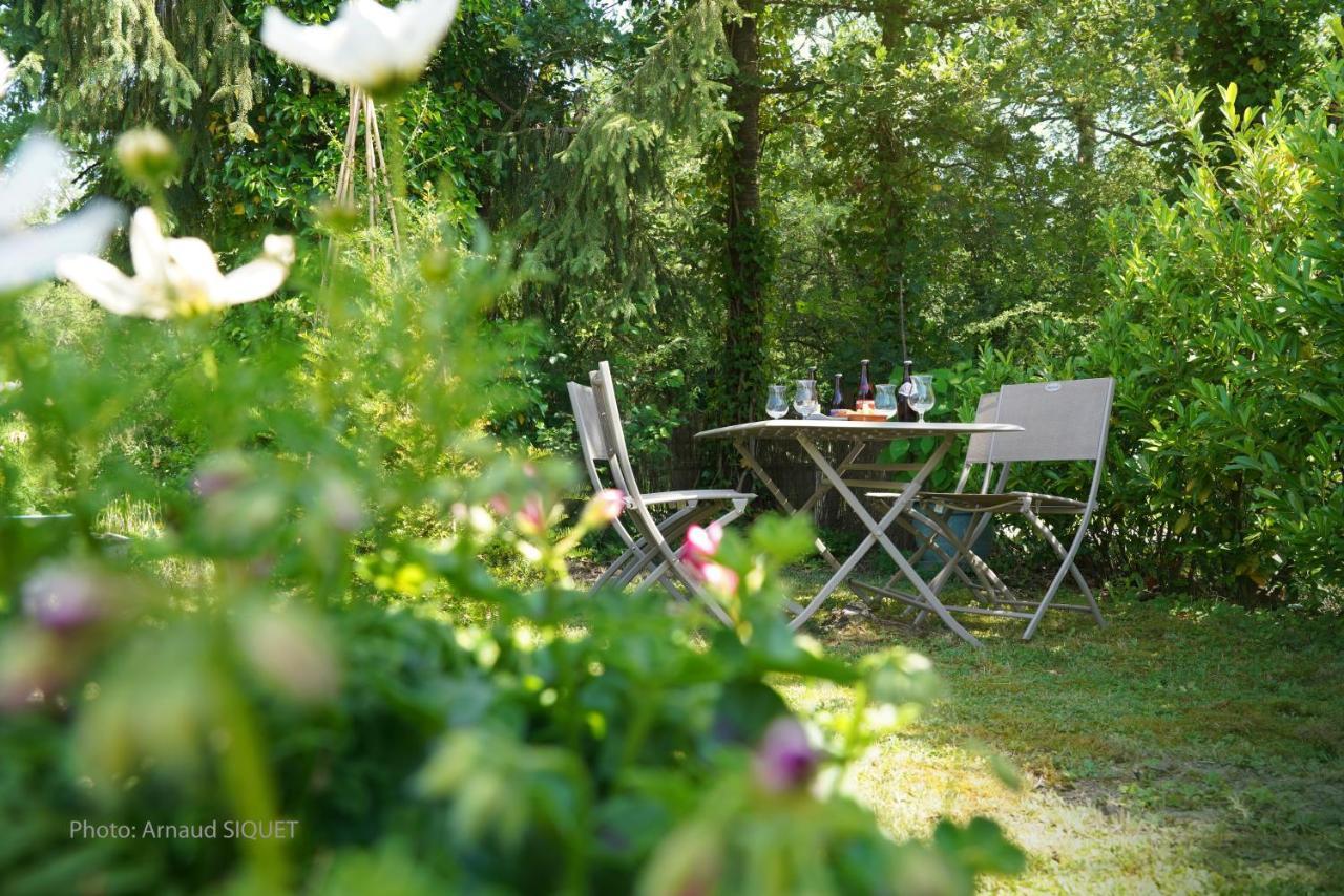 Le Jardin Des Biches Bed & Breakfast Somme-Leuze ภายนอก รูปภาพ